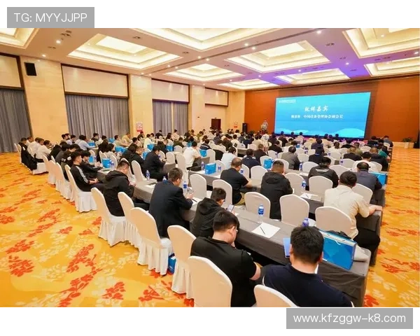 凯发K8旗舰厅登录线路最新优化方案，提升登录速度与稳定性保障玩家权益